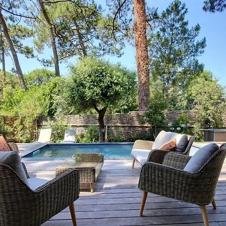 Camille - Archik Du Villa